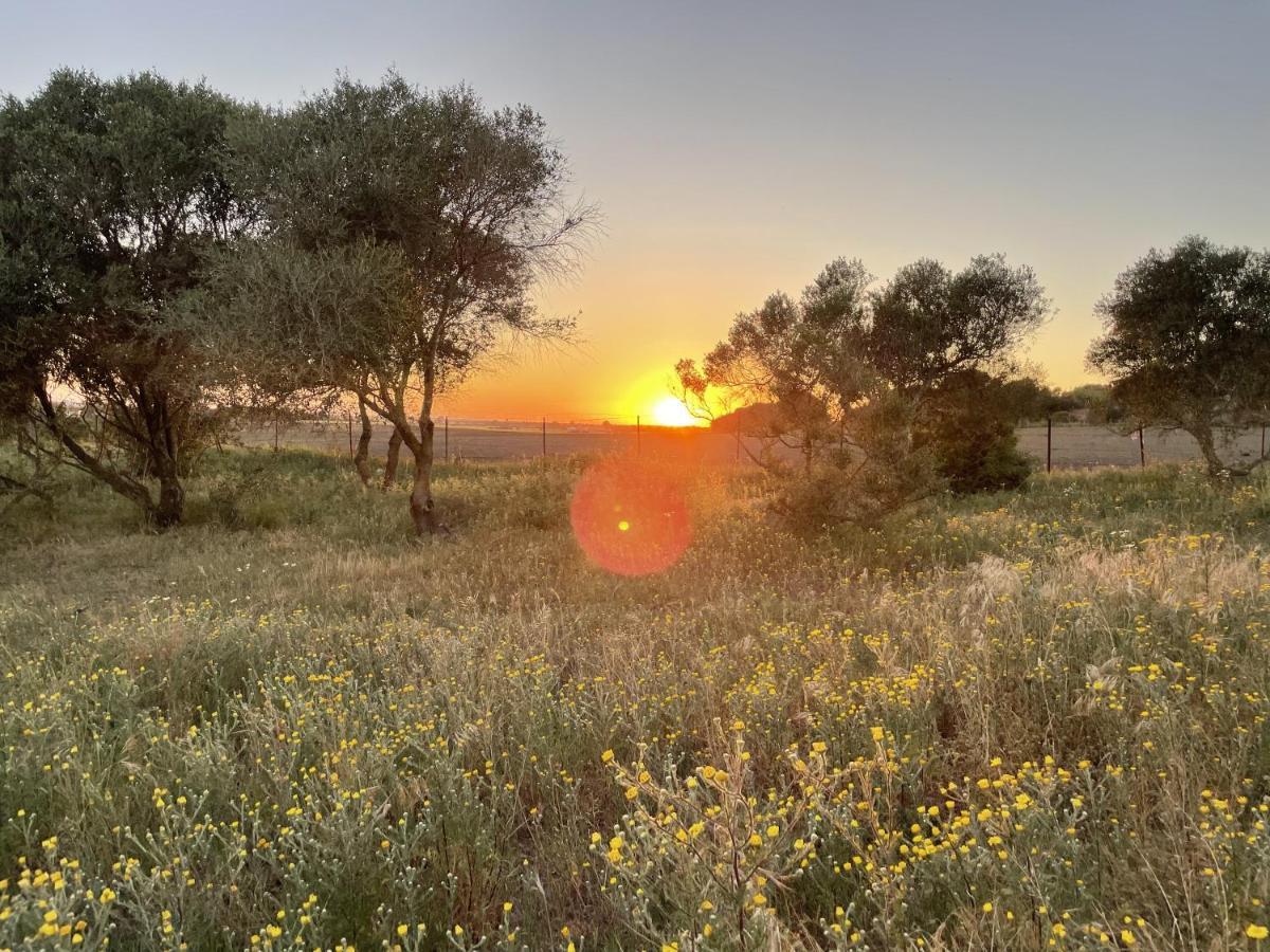 Tranquilo Glamping Hotel Hozanejos Buitenkant foto