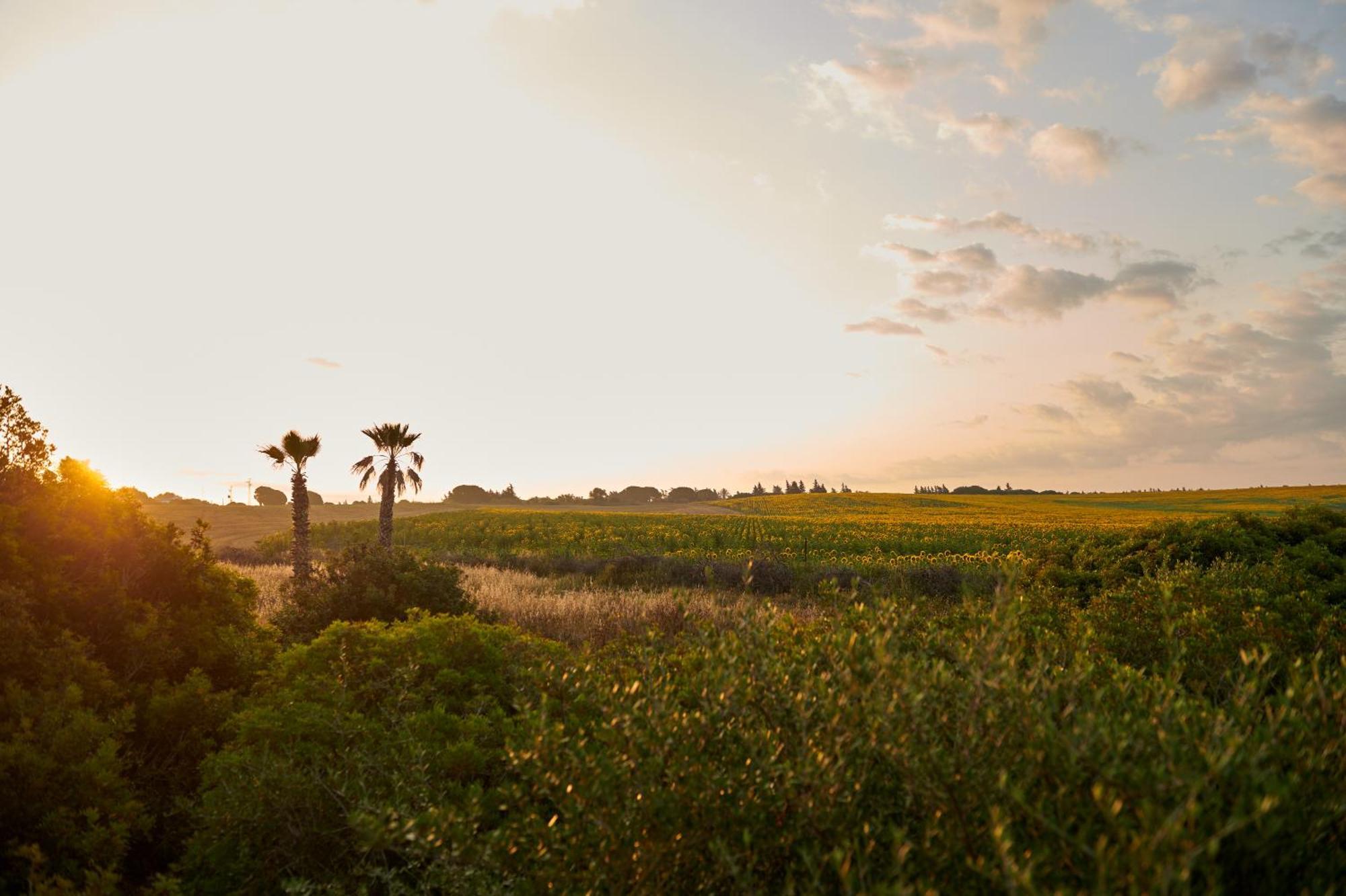 Tranquilo Glamping Hotel Hozanejos Buitenkant foto