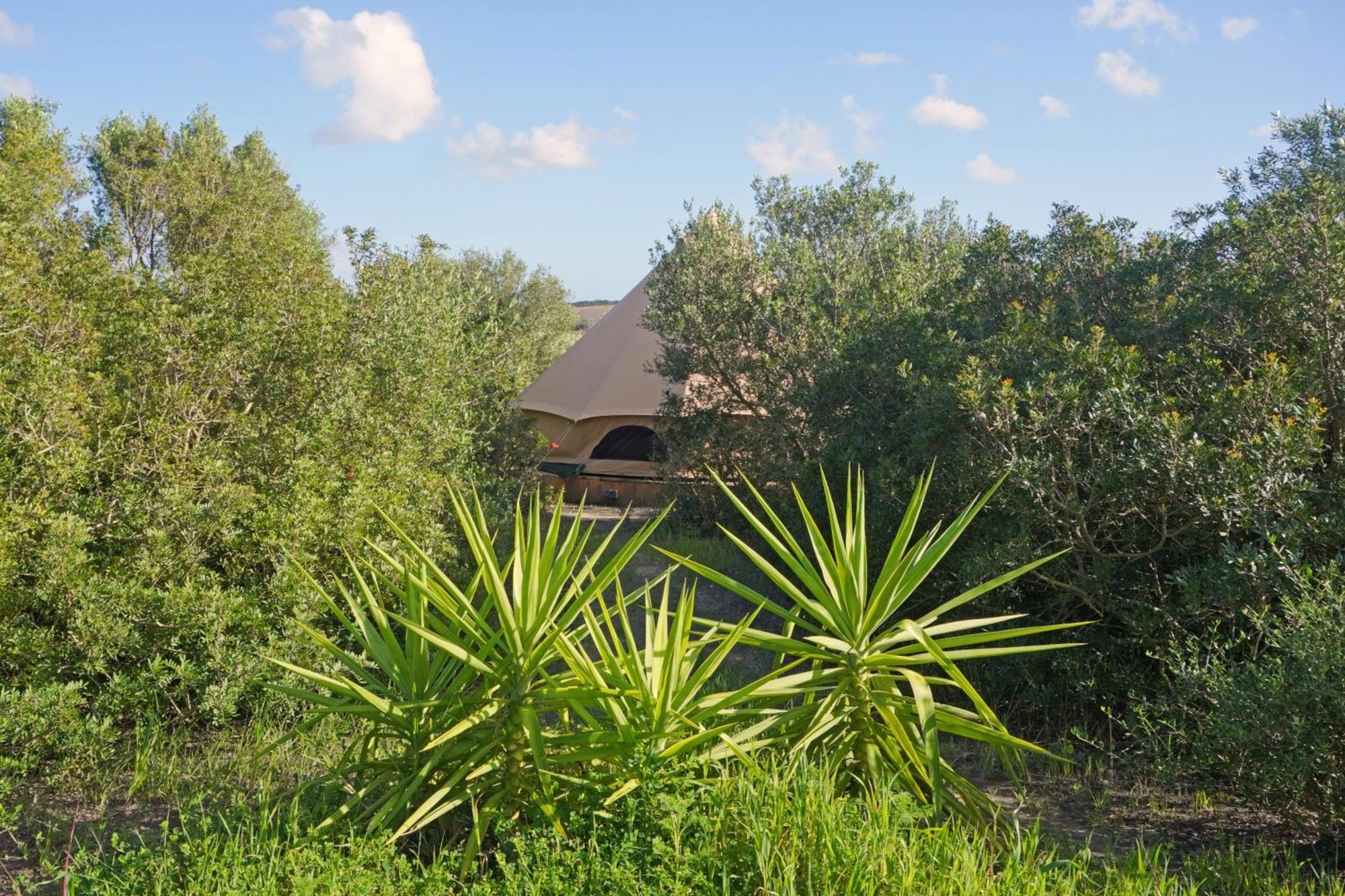 Tranquilo Glamping Hotel Hozanejos Buitenkant foto