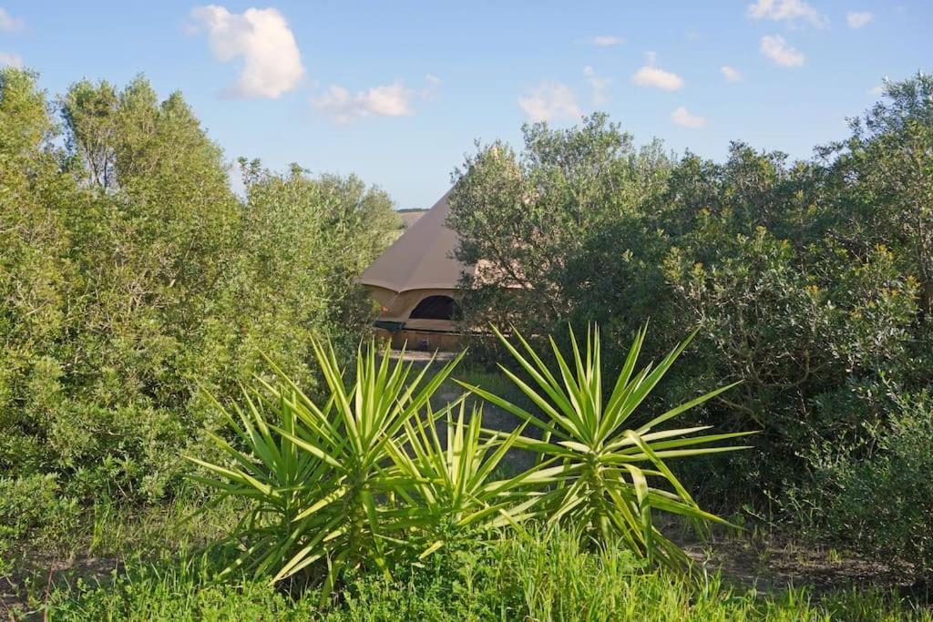 Tranquilo Glamping Hotel Hozanejos Buitenkant foto